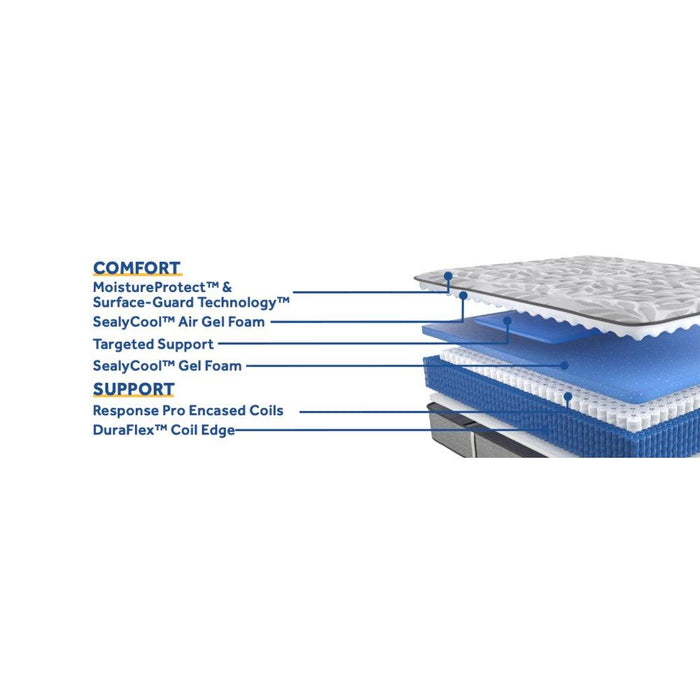 Silver Pine Innerspring Mattress - homePLUS (Binghamton, NY)
