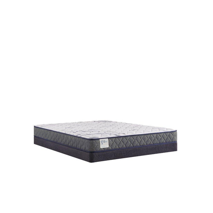 Paisley Foam Mattress - homePLUS (Binghamton, NY)
