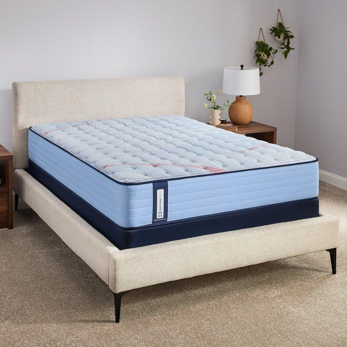 Fayette Spring Mattress - homePLUS (Binghamton, NY)