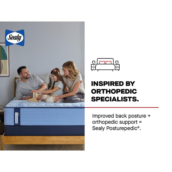 Newland Spring Mattress - homePLUS (Binghamton, NY)