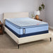 Fayette Spring Mattress - homePLUS (Binghamton, NY)