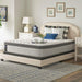Garner II Innerspring Mattress - homePLUS (Binghamton, NY)