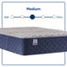 Midnight Bliss Spring Mattress - homePLUS (Binghamton, NY)