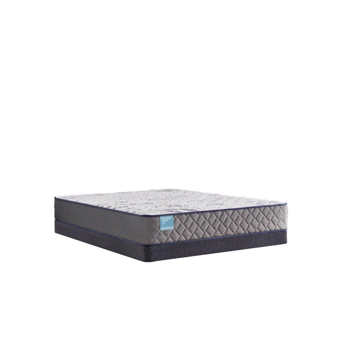 Telford Innerspring Mattress - homePLUS (Binghamton, NY)