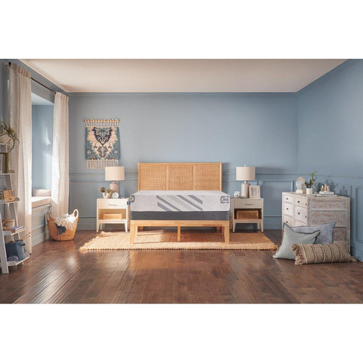 Telford Foam Mattress - homePLUS (Binghamton, NY)