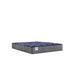 Westerfield Innerspring Mattress - homePLUS (Binghamton, NY)