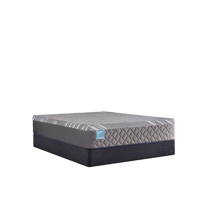 Wild Canyon Hybrid Mattress - homePLUS (Binghamton, NY)