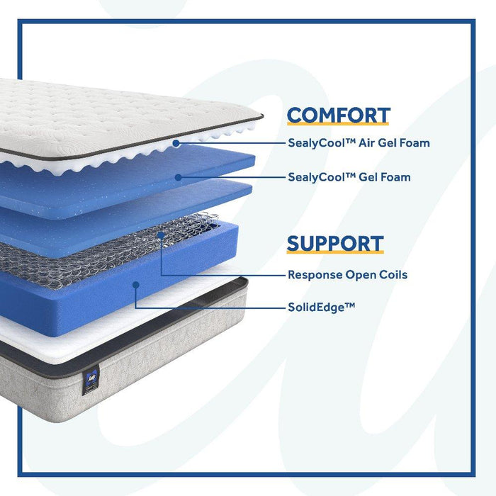 Hayward Innerspring Mattress - homePLUS (Binghamton, NY)