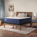Zen Garden Spring Mattress - homePLUS (Binghamton, NY)