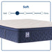 Dream Waves Spring Mattress - homePLUS (Binghamton, NY)
