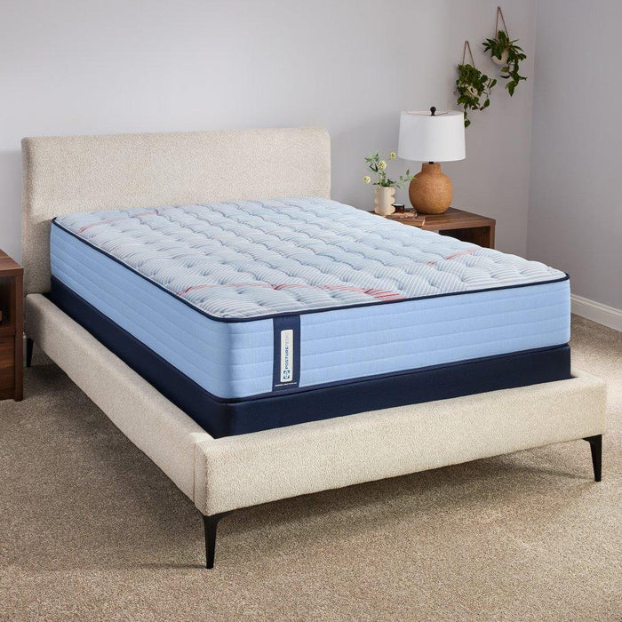 Fayette Spring Mattress - homePLUS (Binghamton, NY)