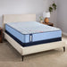 Fayette Spring Mattress - homePLUS (Binghamton, NY)
