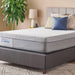 Lacey Hybrid Mattress - homePLUS (Binghamton, NY)
