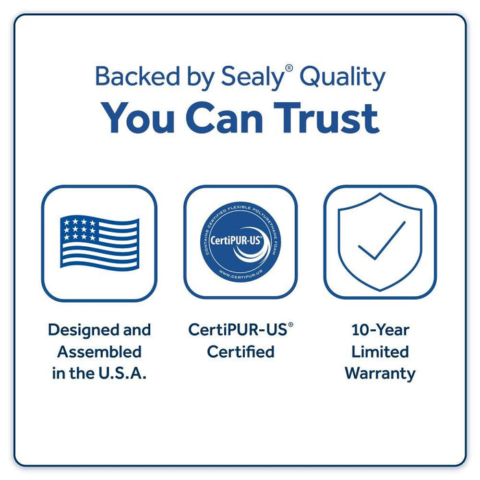 Golden Spirit Spring Mattress - homePLUS (Binghamton, NY)