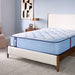 Lovato Spring Mattress - homePLUS (Binghamton, NY)