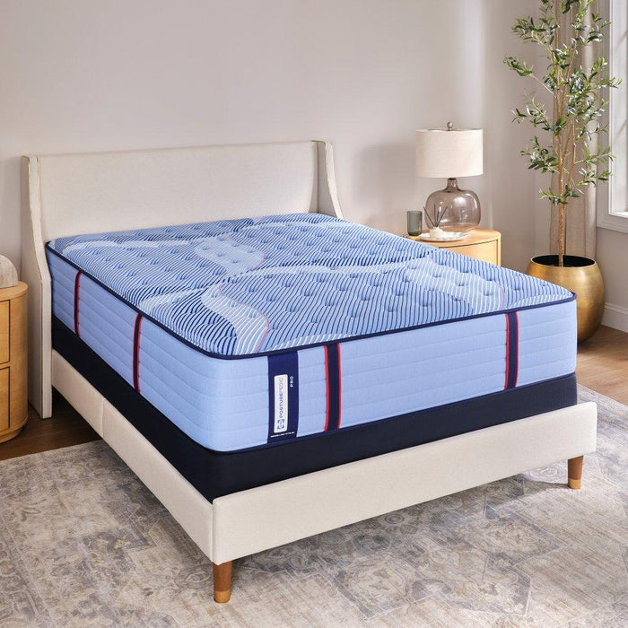 Sonterra Spring Mattress - homePLUS (Binghamton, NY)
