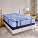 Sonterra Spring Mattress - homePLUS (Binghamton, NY)