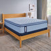 Maida Spring Mattress - homePLUS (Binghamton, NY)