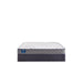 Moon Cove Foam Mattress - homePLUS (Binghamton, NY)