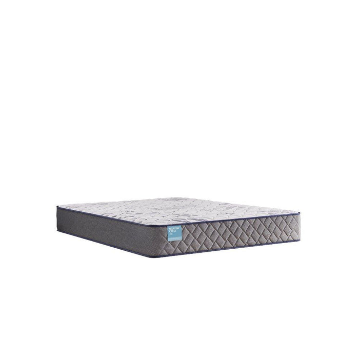 Telford Innerspring Mattress - homePLUS (Binghamton, NY)