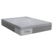 Lacey Hybrid Mattress - homePLUS (Binghamton, NY)