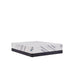 Palace Park Foam Mattress - homePLUS (Binghamton, NY)