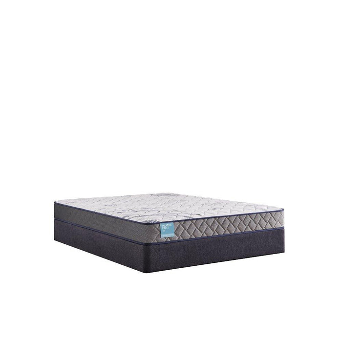 Nori Foam Mattress - homePLUS (Binghamton, NY)