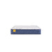 Stately Innerspring Mattress - homePLUS (Binghamton, NY)