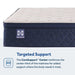 Dream Waves Spring Mattress - homePLUS (Binghamton, NY)