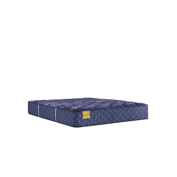 Remmington Innerspring Mattress - homePLUS (Binghamton, NY)