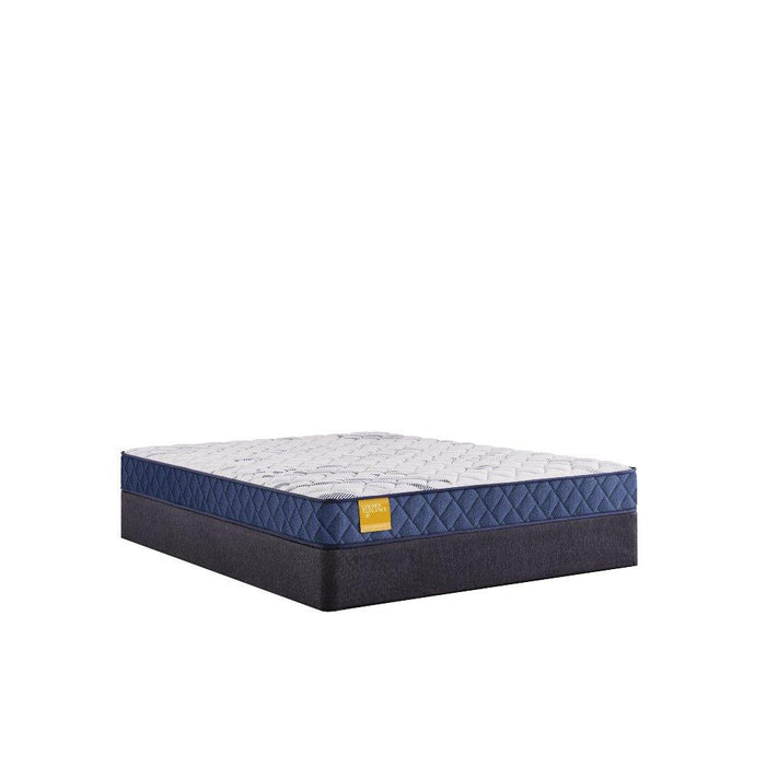 Erie Foam Mattress