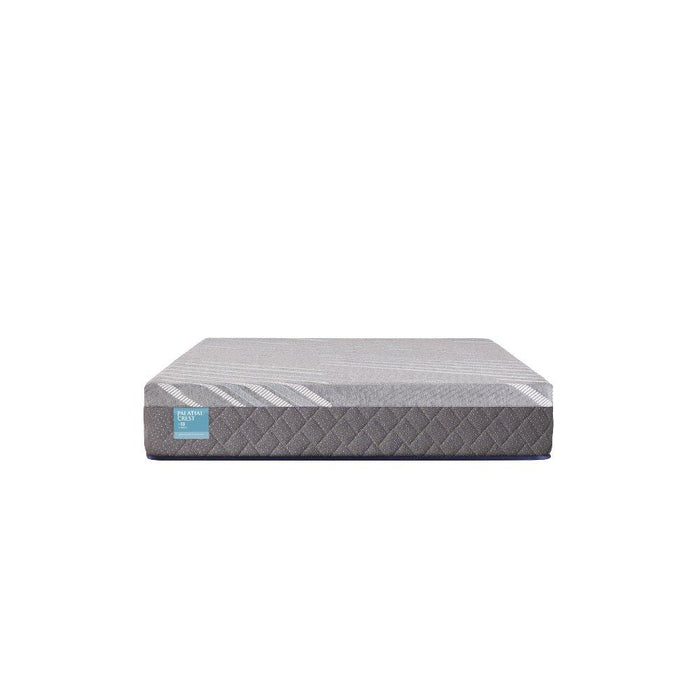 Remey Hybrid Mattress - homePLUS (Binghamton, NY)