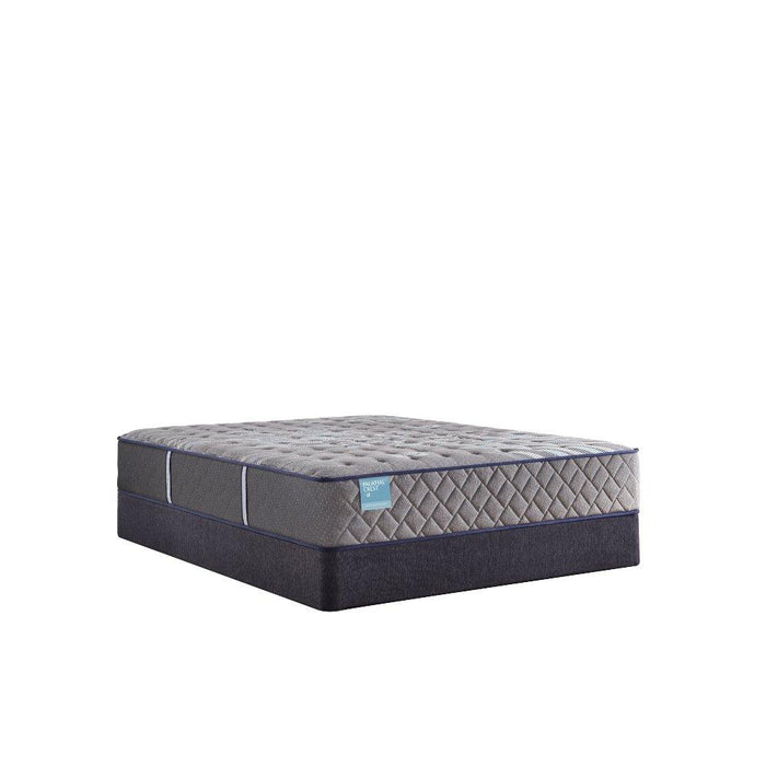 Wild Canyon Innerspring Mattress - homePLUS (Binghamton, NY)