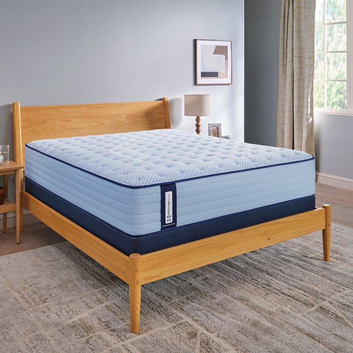 Maida Spring Mattress - homePLUS (Binghamton, NY)