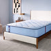 Lovato Spring Mattress - homePLUS (Binghamton, NY)