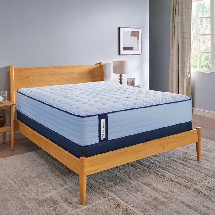 Maida Spring Mattress - homePLUS (Binghamton, NY)