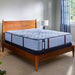 Indianapolis Spring Mattress - homePLUS (Binghamton, NY)
