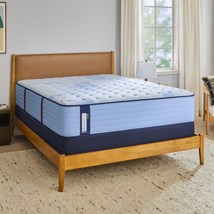 Newland Spring Mattress - homePLUS (Binghamton, NY)