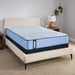 Fayette Spring Mattress - homePLUS (Binghamton, NY)