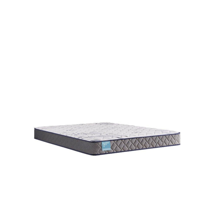 Nori Foam Mattress - homePLUS (Binghamton, NY)