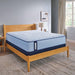 Maida Spring Mattress - homePLUS (Binghamton, NY)