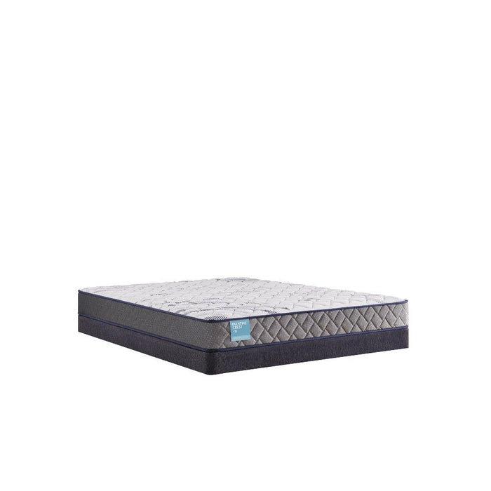 Nori Foam Mattress - homePLUS (Binghamton, NY)