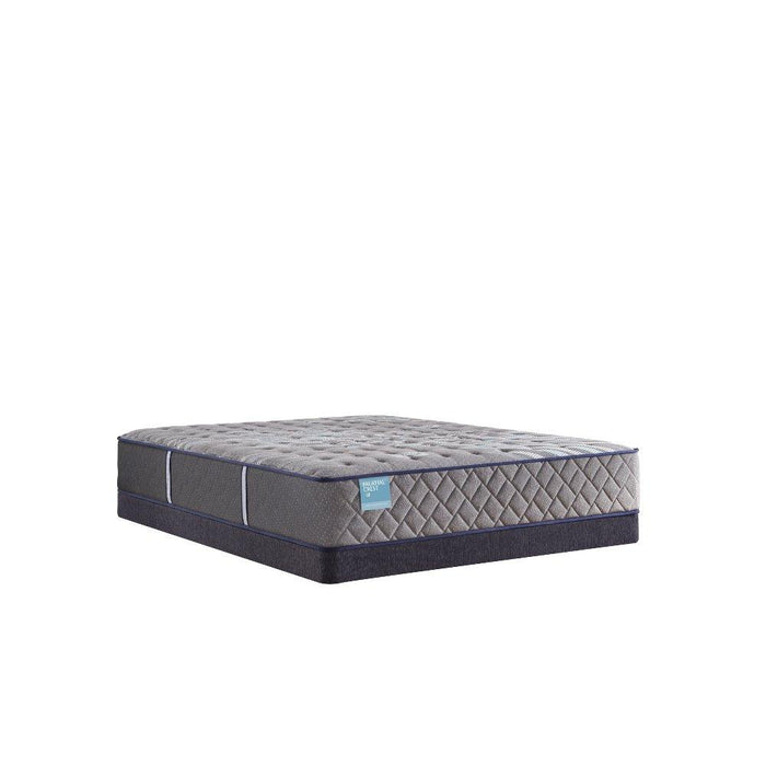 Wild Canyon Innerspring Mattress - homePLUS (Binghamton, NY)