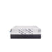 Telford Foam Mattress - homePLUS (Binghamton, NY)