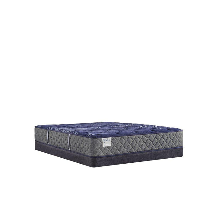 Westerfield Innerspring Mattress - homePLUS (Binghamton, NY)