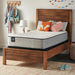 Bechtler II Innerspring Mattress - homePLUS (Binghamton, NY)