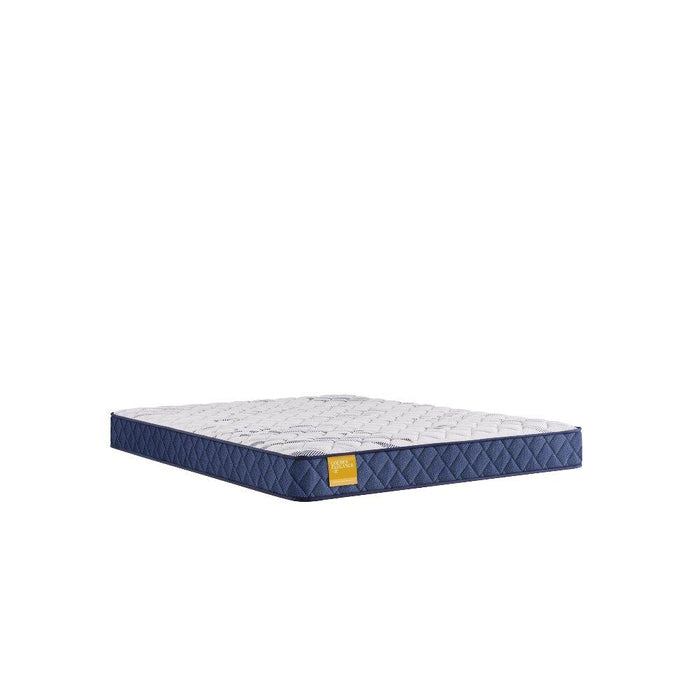 Glacier Park Foam Mattress - homePLUS (Binghamton, NY)