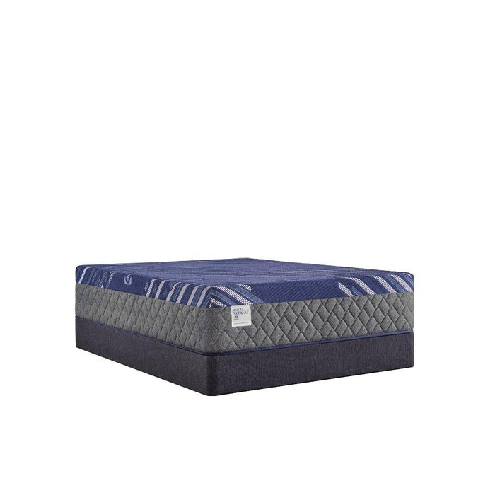 Westerfield Hybrid Mattress - homePLUS (Binghamton, NY)