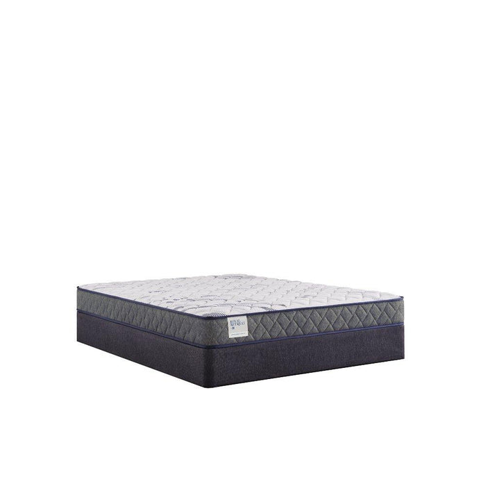 Paisley Foam Mattress - homePLUS (Binghamton, NY)