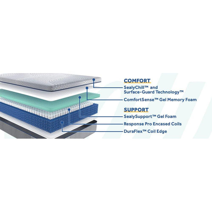 Lacey Hybrid Mattress - homePLUS (Binghamton, NY)